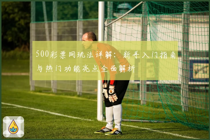 500彩票网玩法详解:新手入门指南与热门功能亮点全面解析