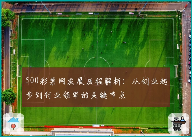 500彩票网发展历程解析：从创业起步到行业领军的关键节点