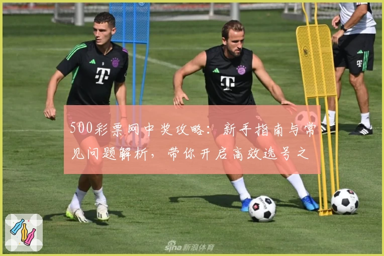 500彩票网中奖攻略：新手指南与常见问题解析，带你开启高效选号之旅