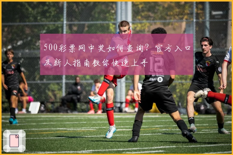 500彩票网中奖如何查询?官方入口及新人指南教你快速上手