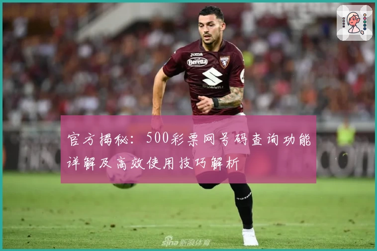 官方揭秘：500彩票网号码查询功能详解及高效使用技巧解析