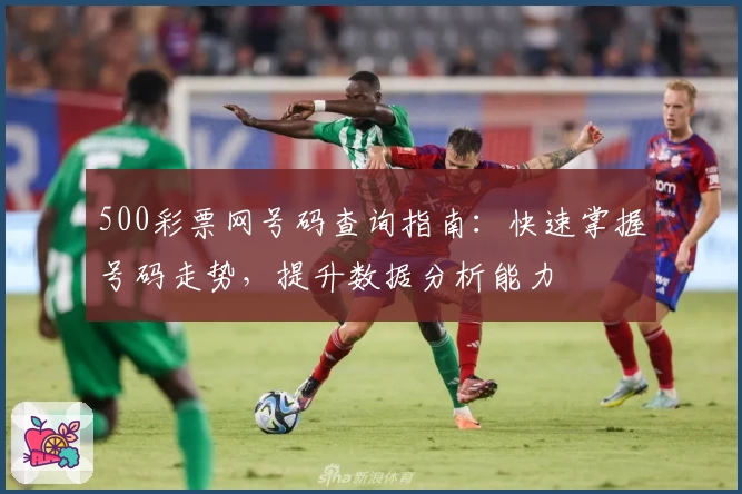 500彩票网号码查询指南：快速掌握号码走势，提升数据分析能力