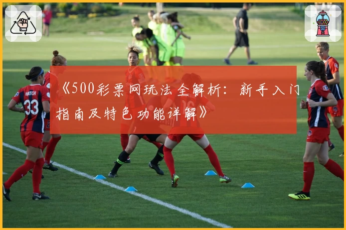 《500彩票网玩法全解析:新手入门指南及特色功能详解》