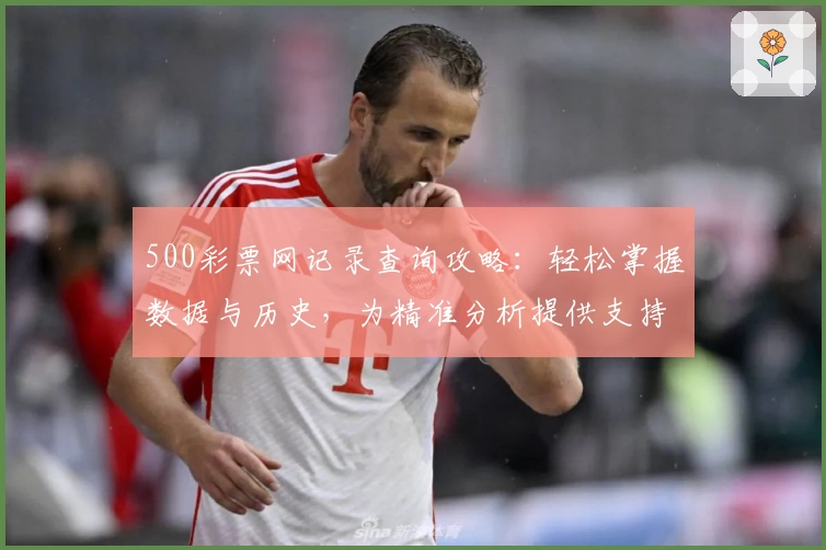 500彩票网记录查询攻略:轻松掌握数据与历史,为精准分析提供支持