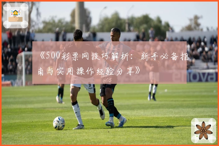 《500彩票网技巧解析:新手必备指南与实用操作经验分享》