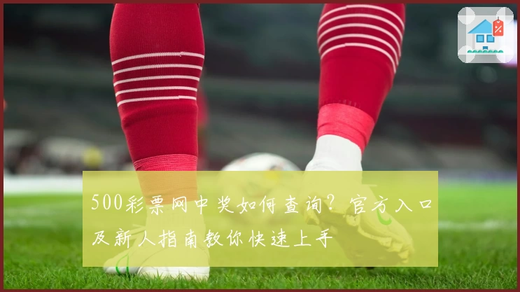 500彩票网中奖如何查询?官方入口及新人指南教你快速上手