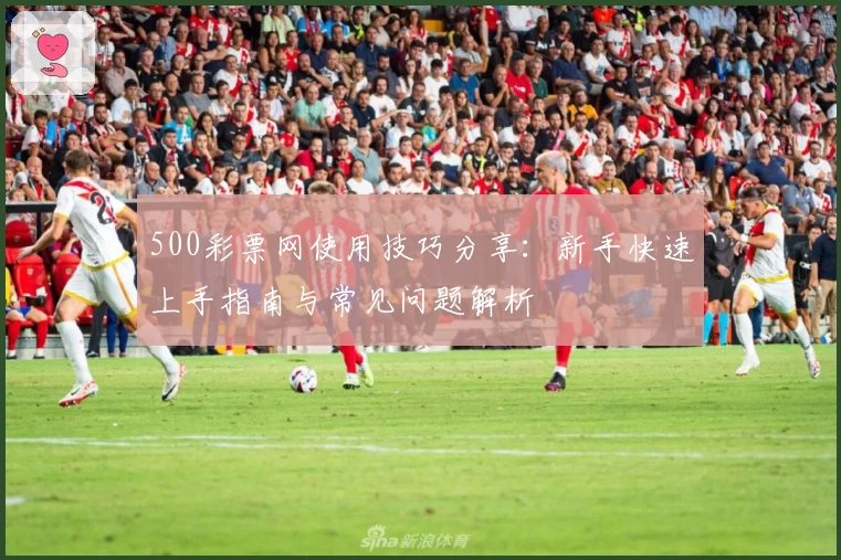 500彩票网使用技巧分享：新手快速上手指南与常见问题解析